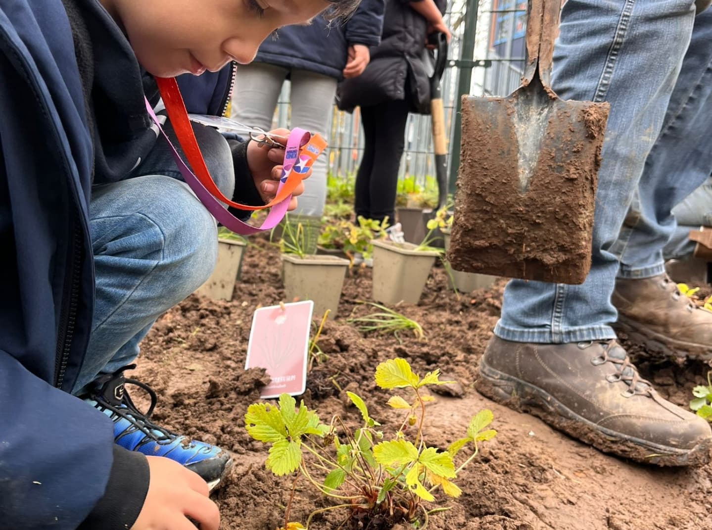 Schoolbreed samenwerken met experts